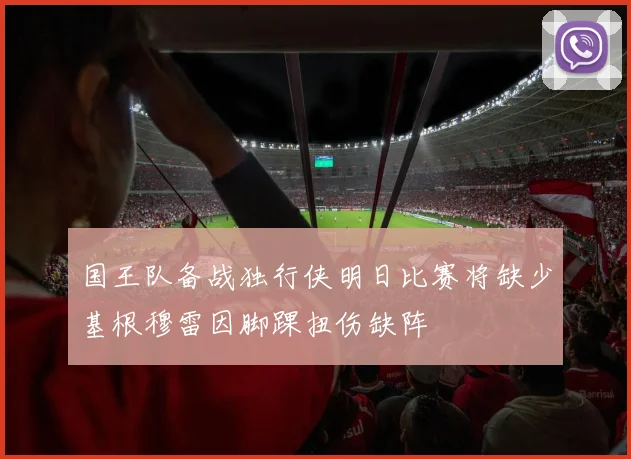 国王队备战独行侠明日比赛将缺少基根穆雷因脚踝扭伤缺阵